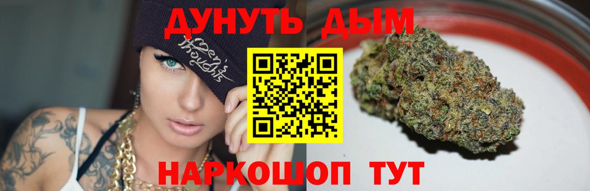 Марихуана ГИДРОПОН  Каннабис Bruce Banner  Канабис планчик  Алексеевка  Конопля гибрид  Вход с VPN 